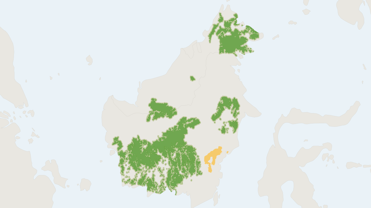 Range map of the Bornean Orangutan (Pongo pygmaeus) covering Indonesia and Malaysia