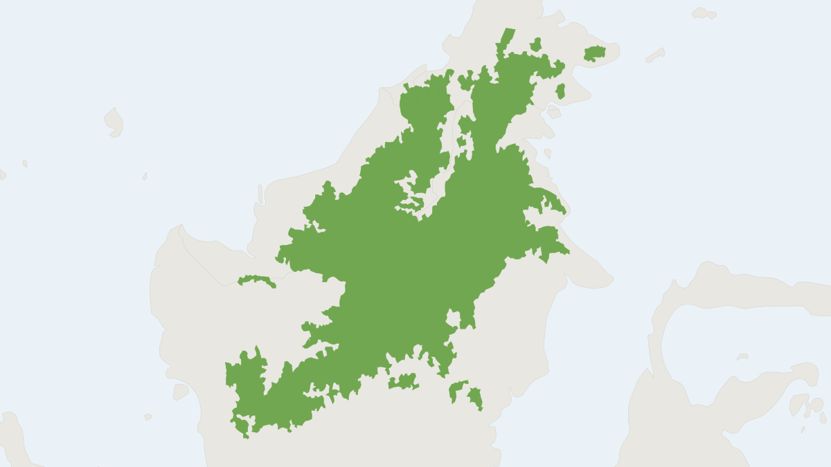 Range map of the Borneo Bay Cat (Catopuma badia) covering Brunei, Indonesia and Malaysia