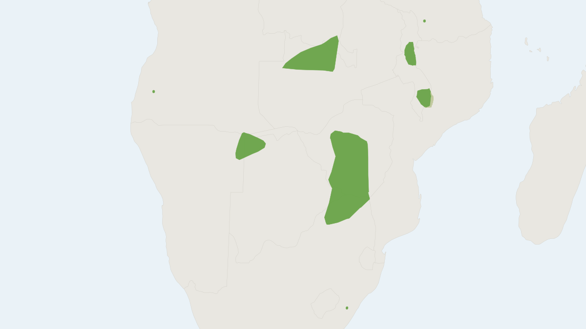 Range map of the Botswana Long-eared Bat (Laephotis botswanae)
