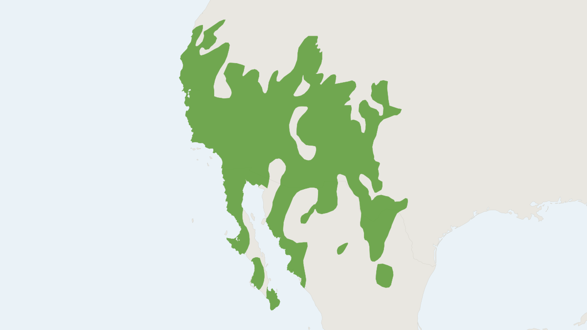 Range map of the Botta's Pocket Gopher (Thomomys bottae)