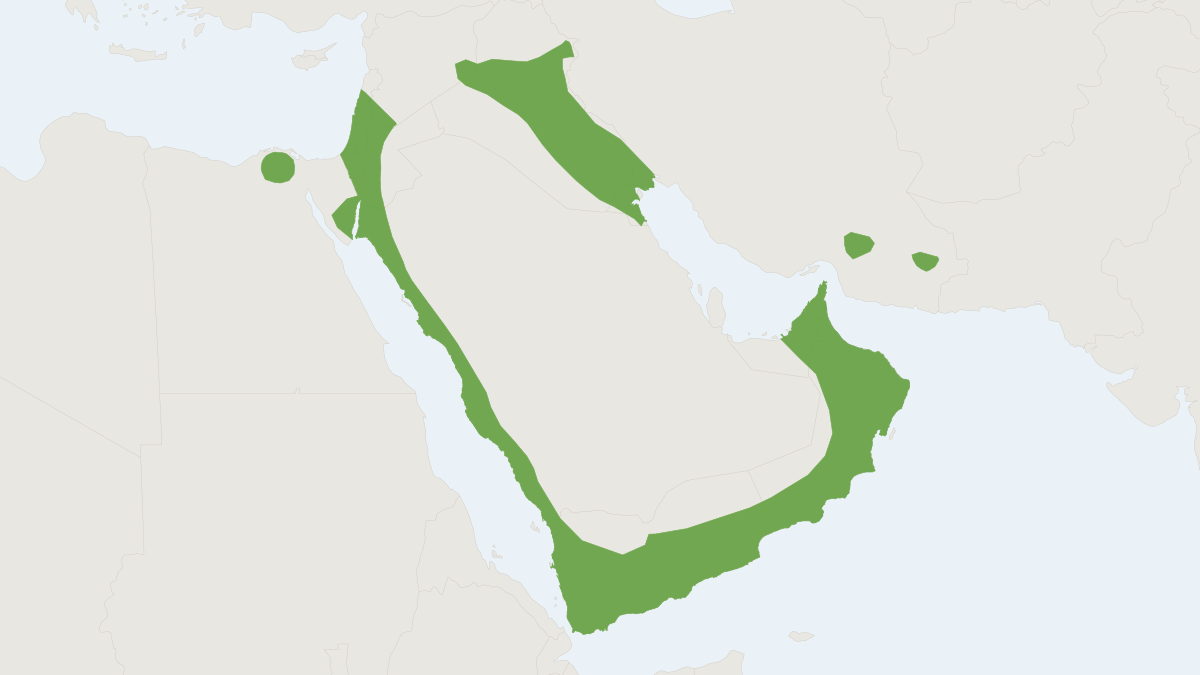 Range map of the Botta's Serotine (Cnephaeus bottae)