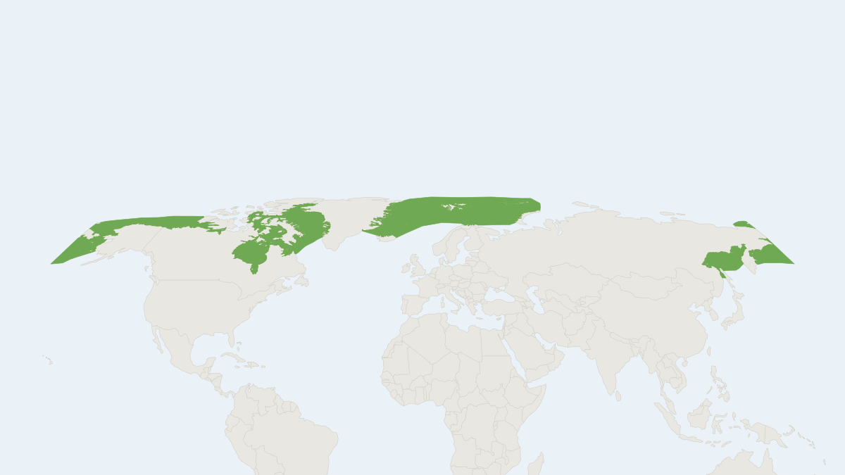Range map of the Bowhead Whale (Balaena mysticetus) covering Canada, Greenland and Norway