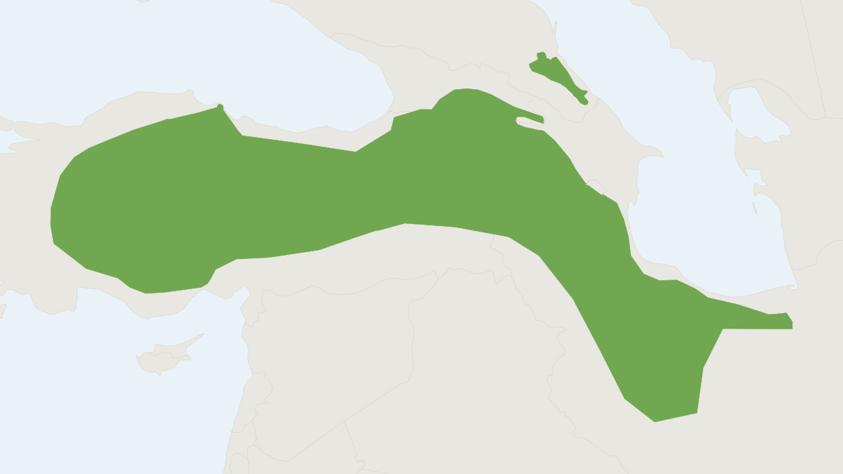Range map of the Brandt's Hamster (Mesocricetus brandti)