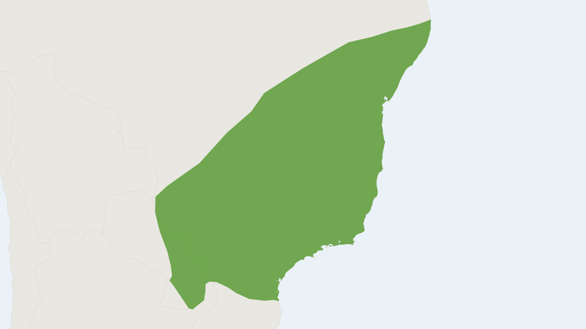 Range map of the Brazilian Big-eyed Bat (Chiroderma doriae) covering Argentina, Brazil and Paraguay