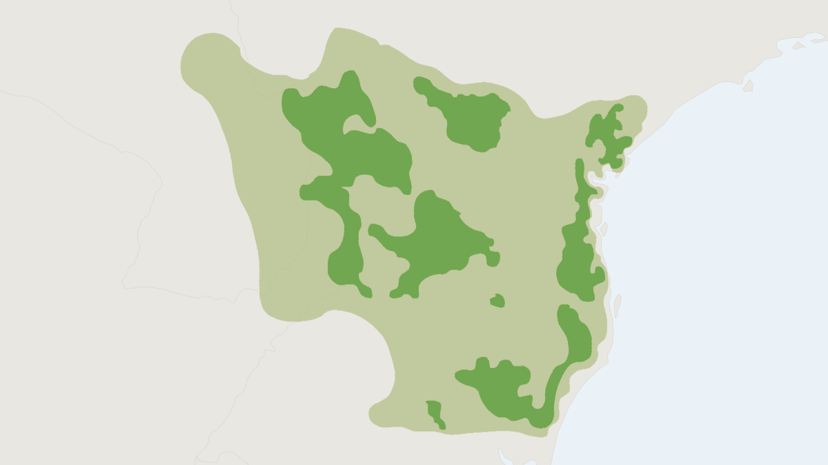 Range map of the Brazilian Dwarf Brocket (Mazama nana)