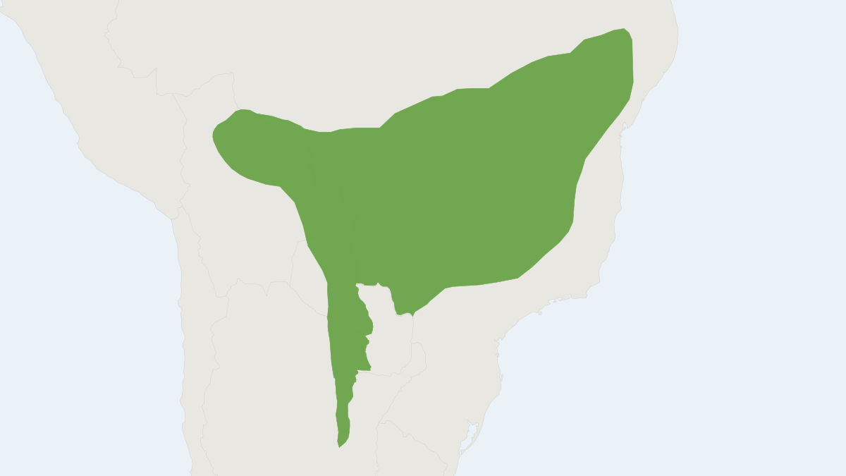 Range map of the Brazilian False Rice Rat (Pseudoryzomys simplex)