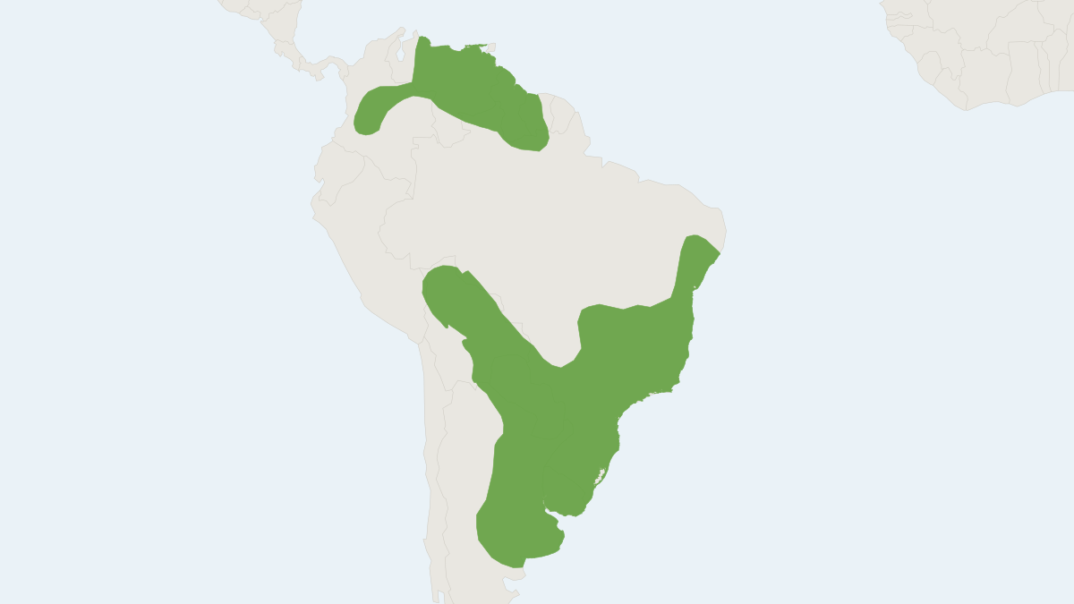 Range map of the Brazilian Guinea Pig (Cavia aperea)