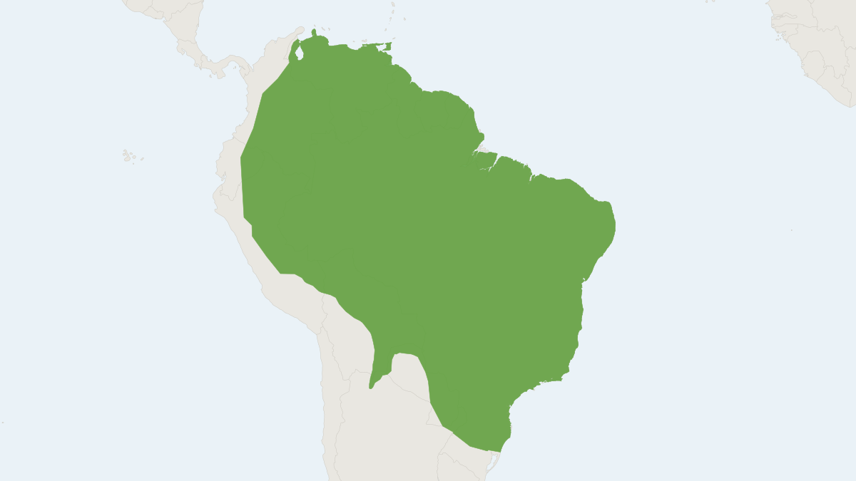 Range map of the Brazilian Porcupine (Coendou prehensilis)
