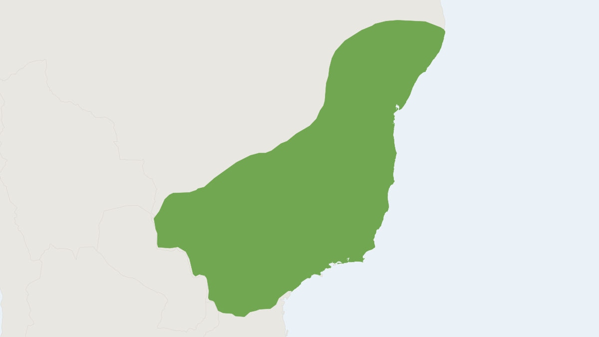 Range map of the Brazilian Pygmy Rice Rat (Oligoryzomys eliurus)