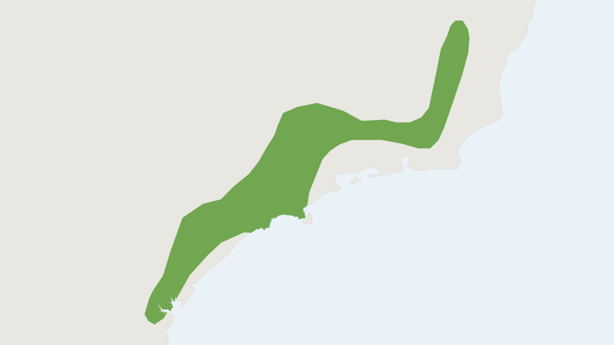 Range map of the Brazilian Slender Opossum (Marmosops paulensis)