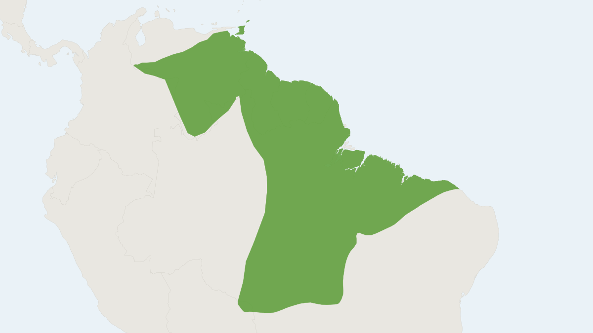Range map of the Brazilian Spiny Tree Rat (Makalata didelphoides)