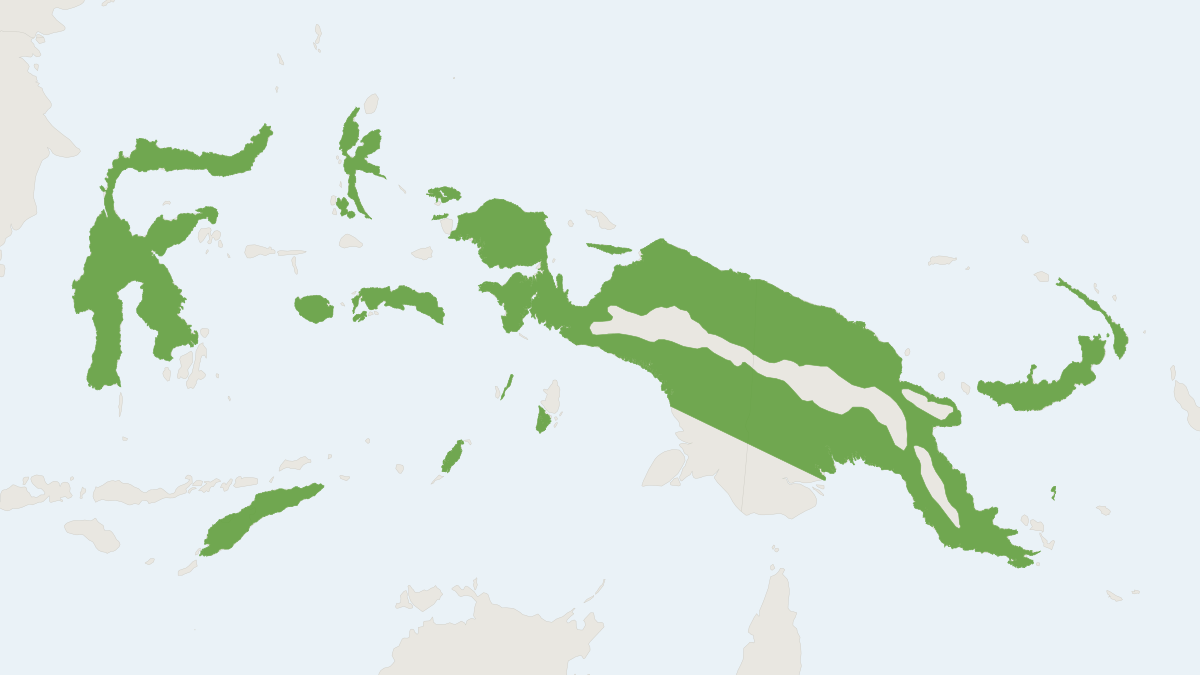 Range map of the Broad-eared Horseshoe Bat (Rhinolophus euryotis)