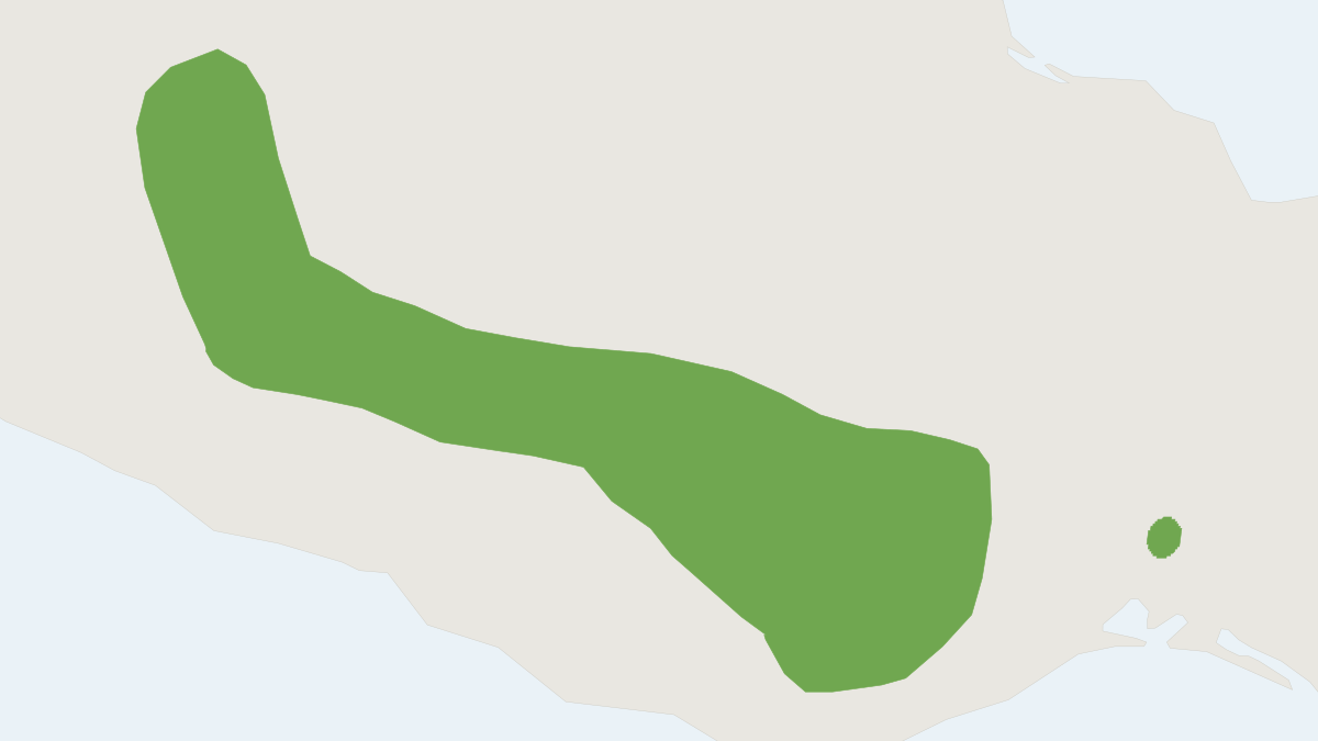 Range map of the Broad-faced Deer Mouse (Peromyscus megalops)