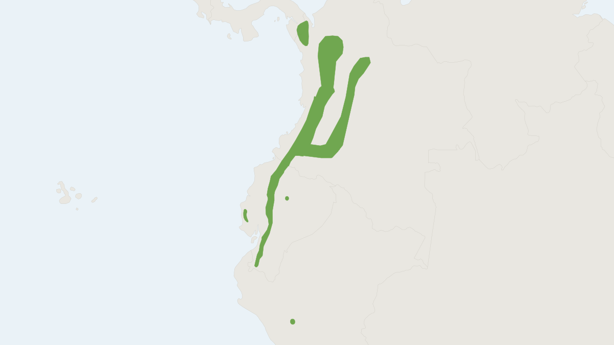 Range map of the Broad-footed Climbing Mouse (Rhipidomys latimanus)
