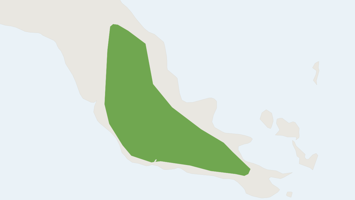 Range map of the Broad-headed Tree Mouse (Chiruromys lamia) covering Indonesia and Papua New Guinea