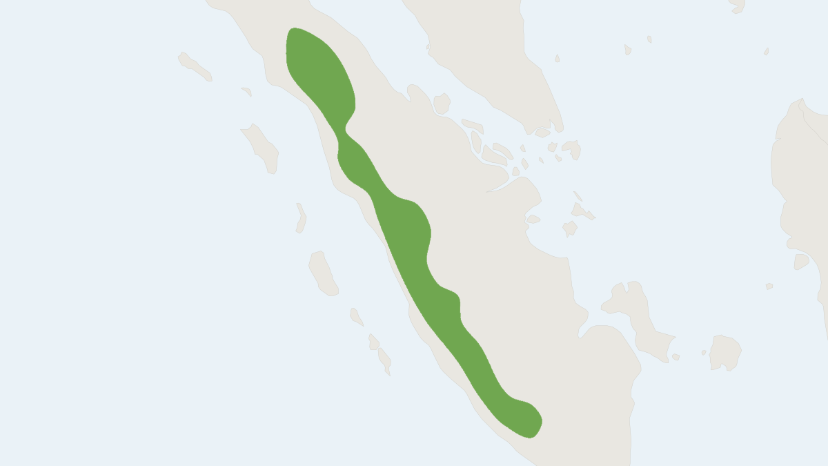 Range map of the Broad-nosed Sumatran Maxomys (Maxomys inflatus)