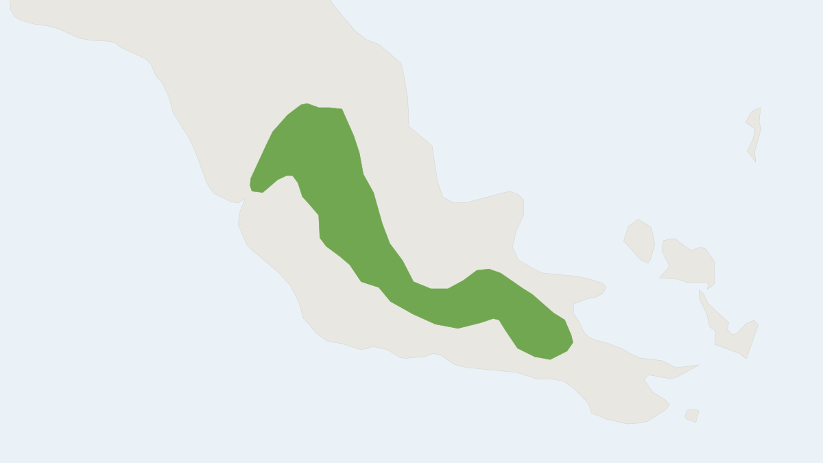 Range map of the Broad-striped Dasyure (Murexia rothschildi)