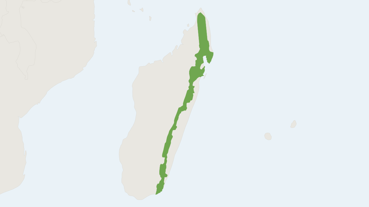 Range map of the Broad-striped Vontsira (Galidictis fasciata)