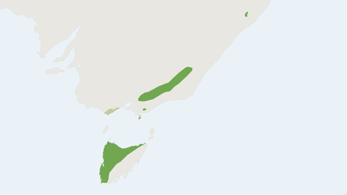 Range map of the Broad-toothed Rat (Mastacomys fuscus)