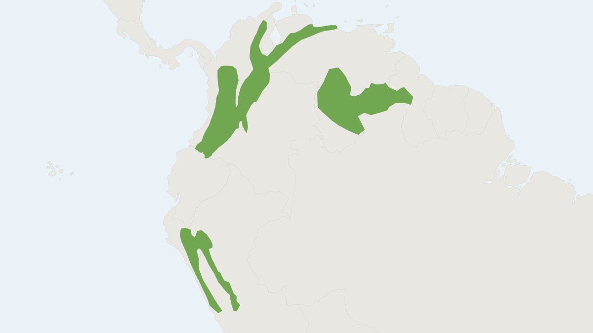 Range map of the Broad-toothed Tailless Bat (Anoura latidens) covering Colombia, Ecuador and Venezuela