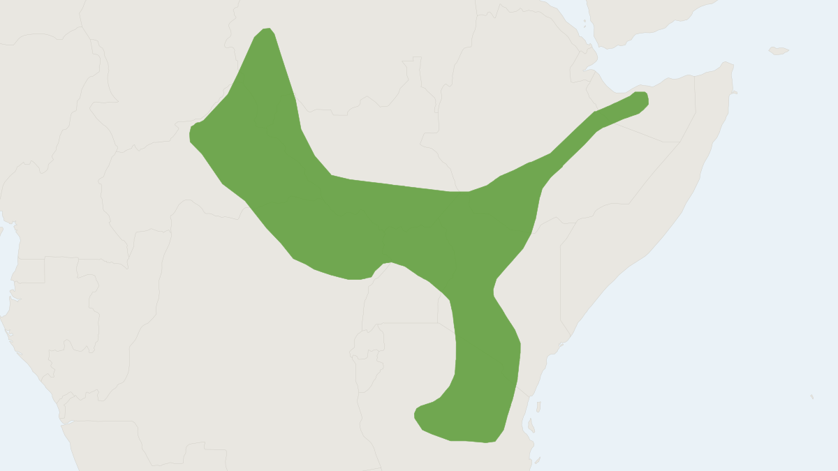 Range map of the Brockman's Myomyscus (Myomyscus brockmani)