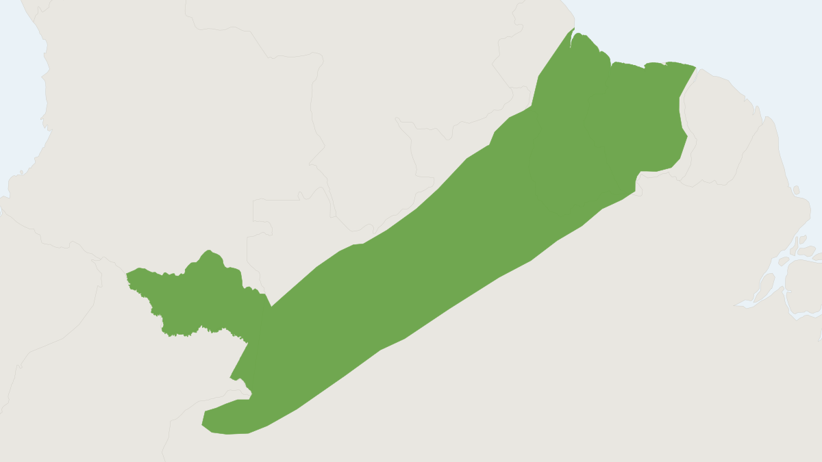 Range map of the Brock's Yellow-eared Bat (Vampyriscus brocki)