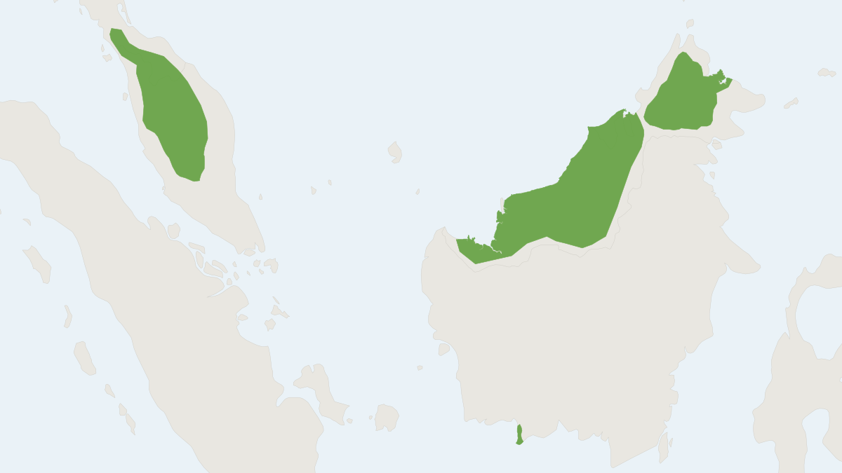 Range map of the Bronze Tube-nosed Bat (Murina aenea)