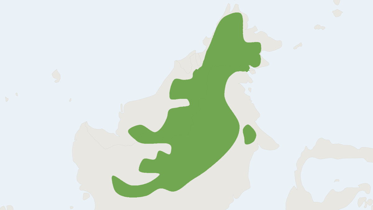Range map of the Brooke's Squirrel (Sundasciurus brookei)