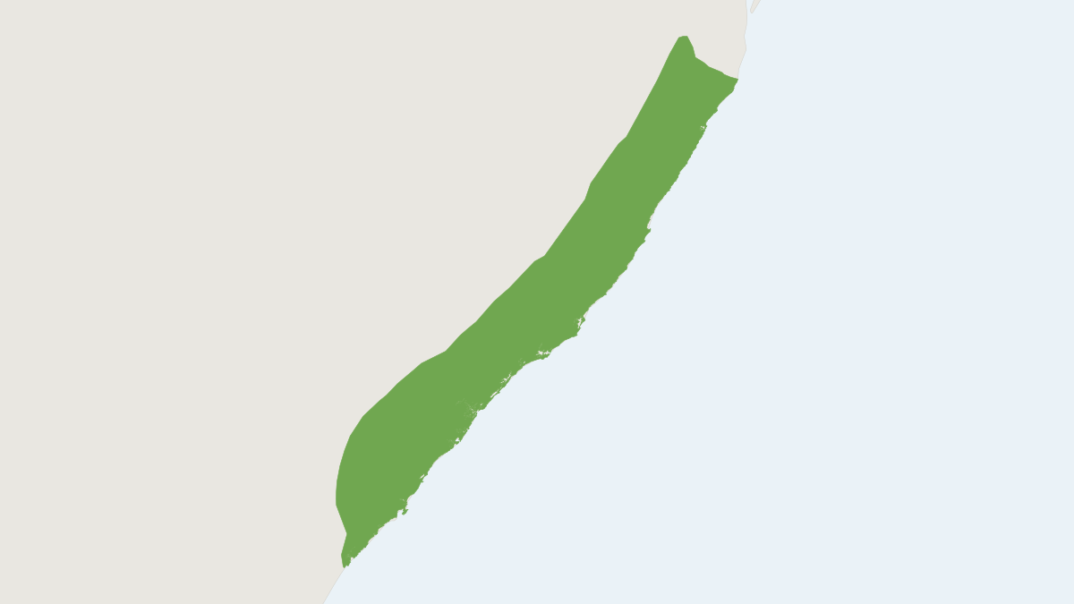 Range map of the Brown Antechinus (Antechinus stuartii)