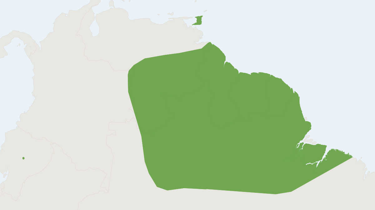 Range map of the Brown-bellied Broad-nosed Bat (Platyrrhinus fusciventris)