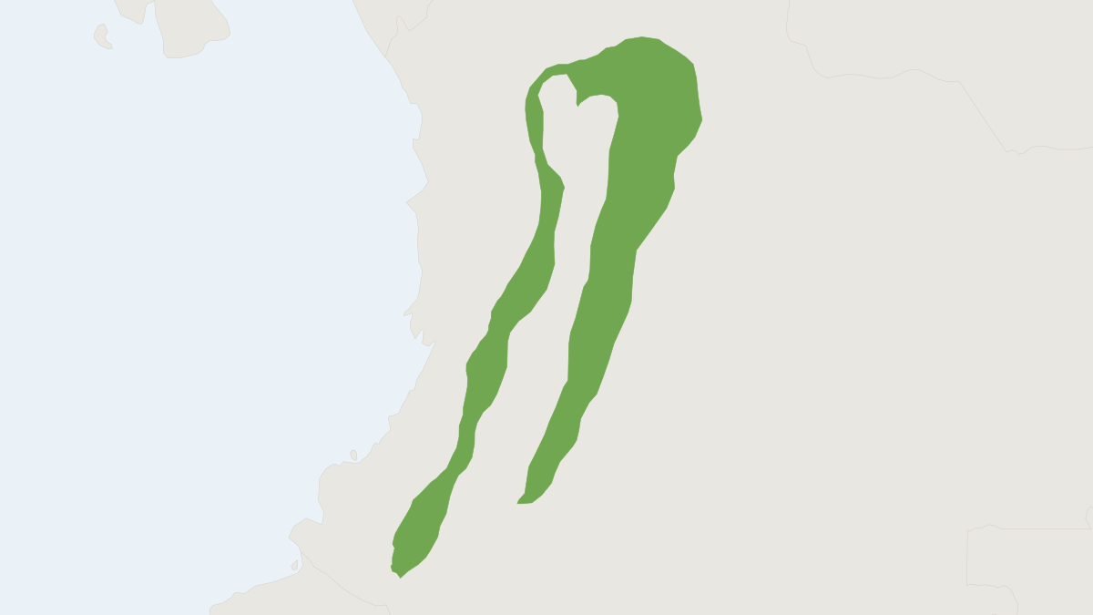 Range map of the Brown Cane Mouse (Zygodontomys brunneus)