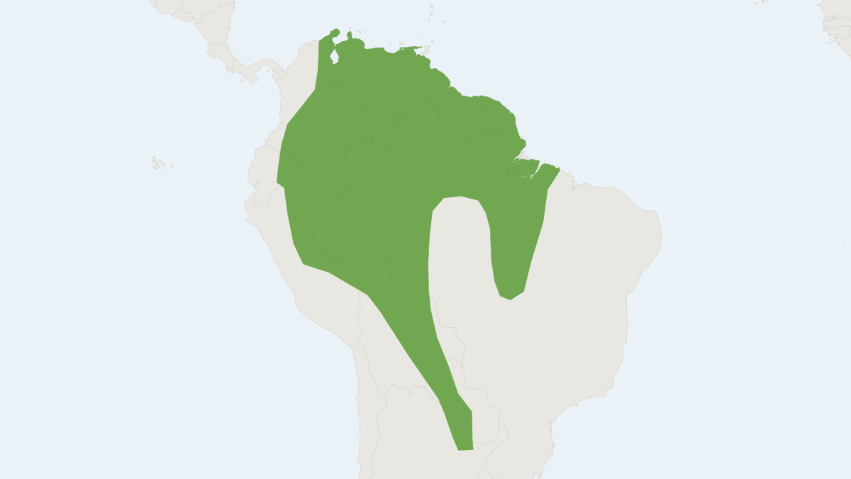 Range map of the Brown Dog-faced Bat (Cynomops paranus)