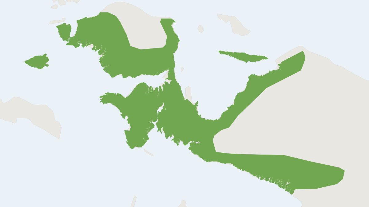 Range map of the Brown Dorcopsis (Dorcopsis muelleri)