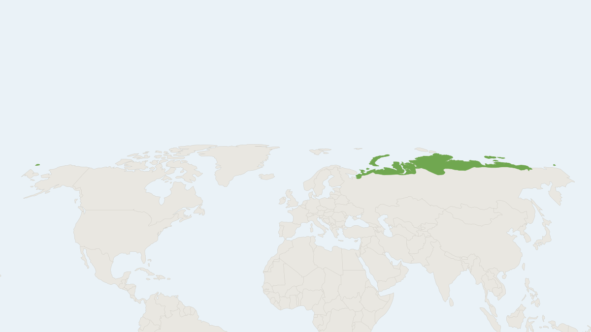 Range map of the Brown Lemming (Lemmus sibiricus)