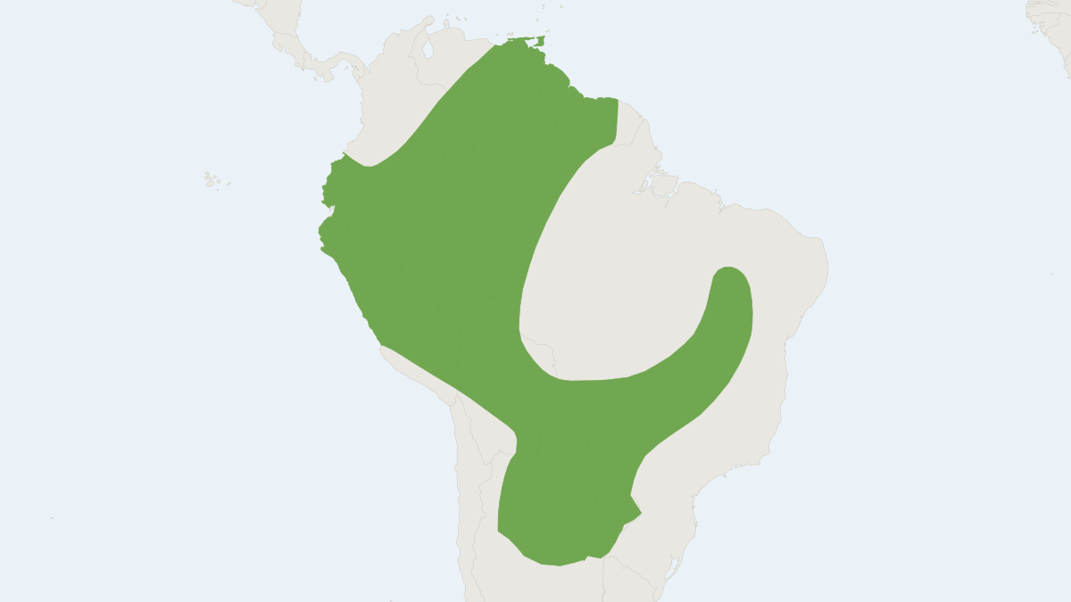 Range map of the Brown Mastiff Bat (Promops nasutus)