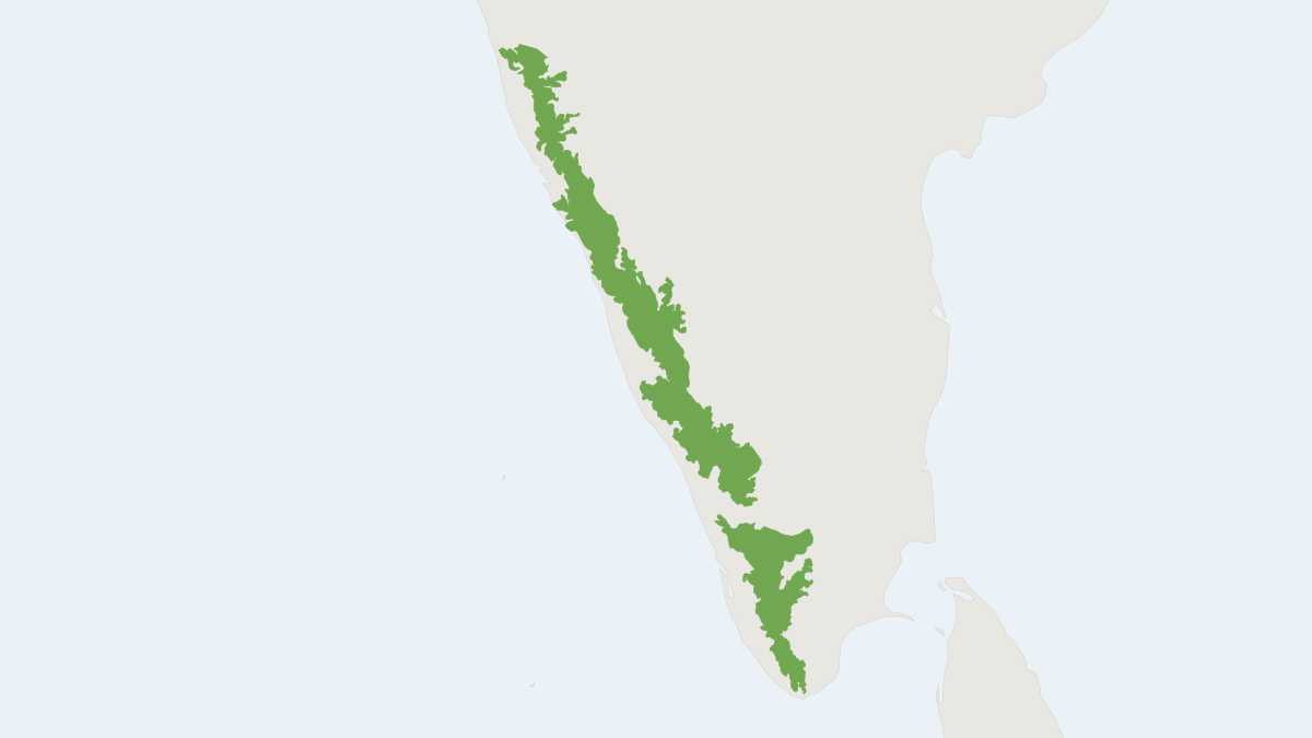 Range map of the Brown Palm Civet (Paradoxurus jerdoni)