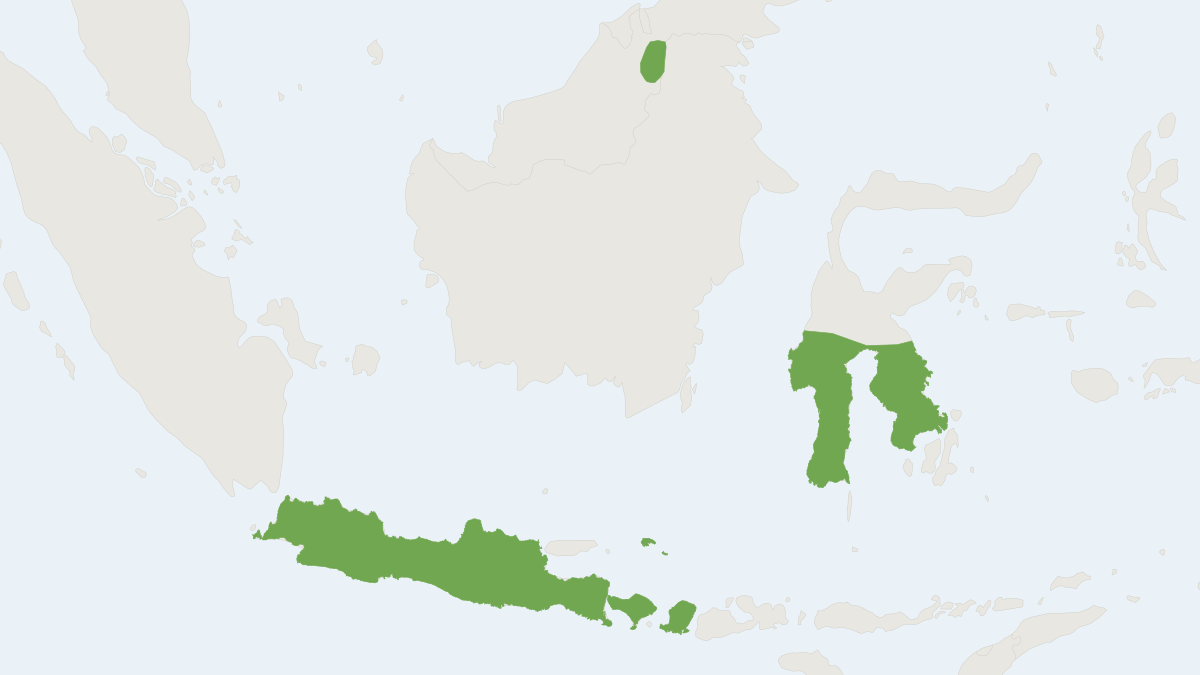 Range map of the Brown Pipistrelle (Pipistrellus imbricatus)