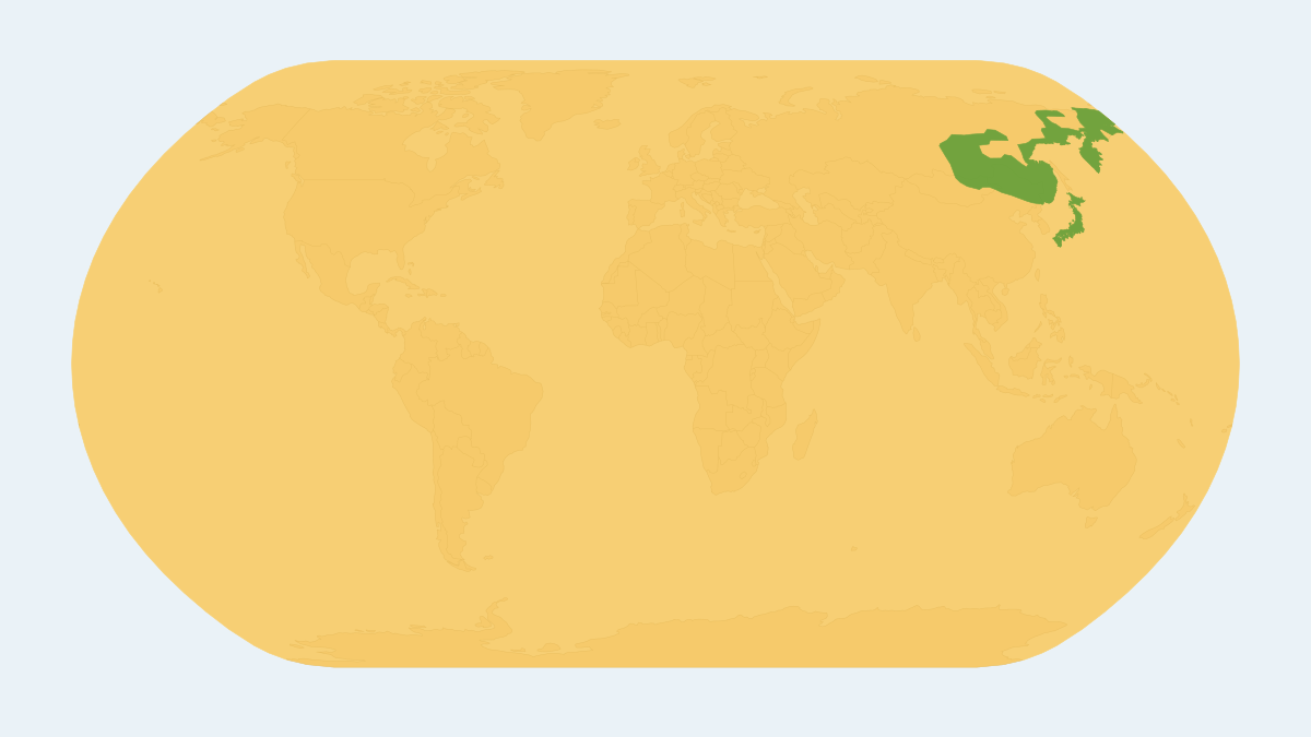Range map of the Brown Rat (Rattus norvegicus)