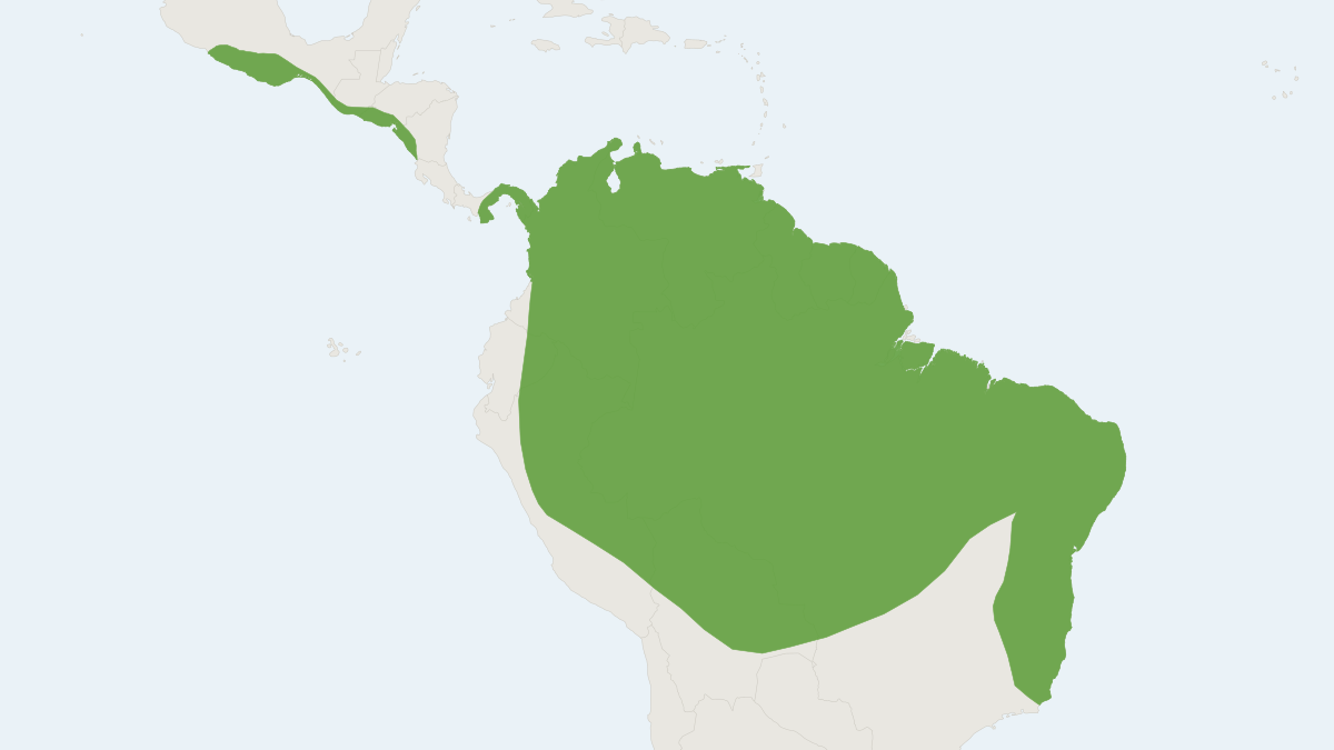 Range map of the Brown Tent-making Bat (Uroderma magnirostrum)