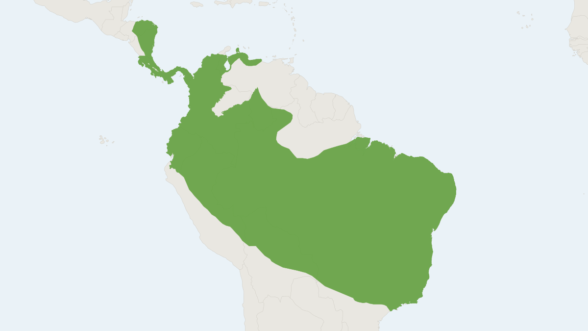Range map of the Brown-throated Sloth (Bradypus variegatus) covering Bolivia, Brazil and Colombia