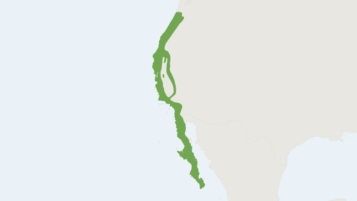 Range map of the Brush Rabbit (Sylvilagus bachmani)