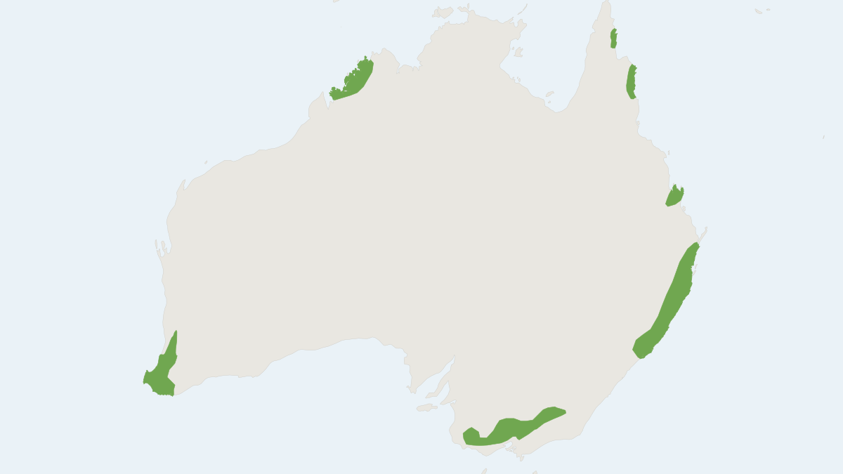 Range map of the Brush-tailed Phascogale (Phascogale tapoatafa)