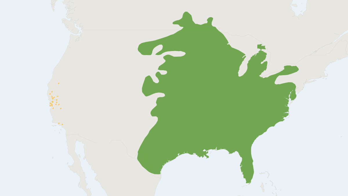 Range map of the Bryant's Fox Squirrel (Sciurus niger)