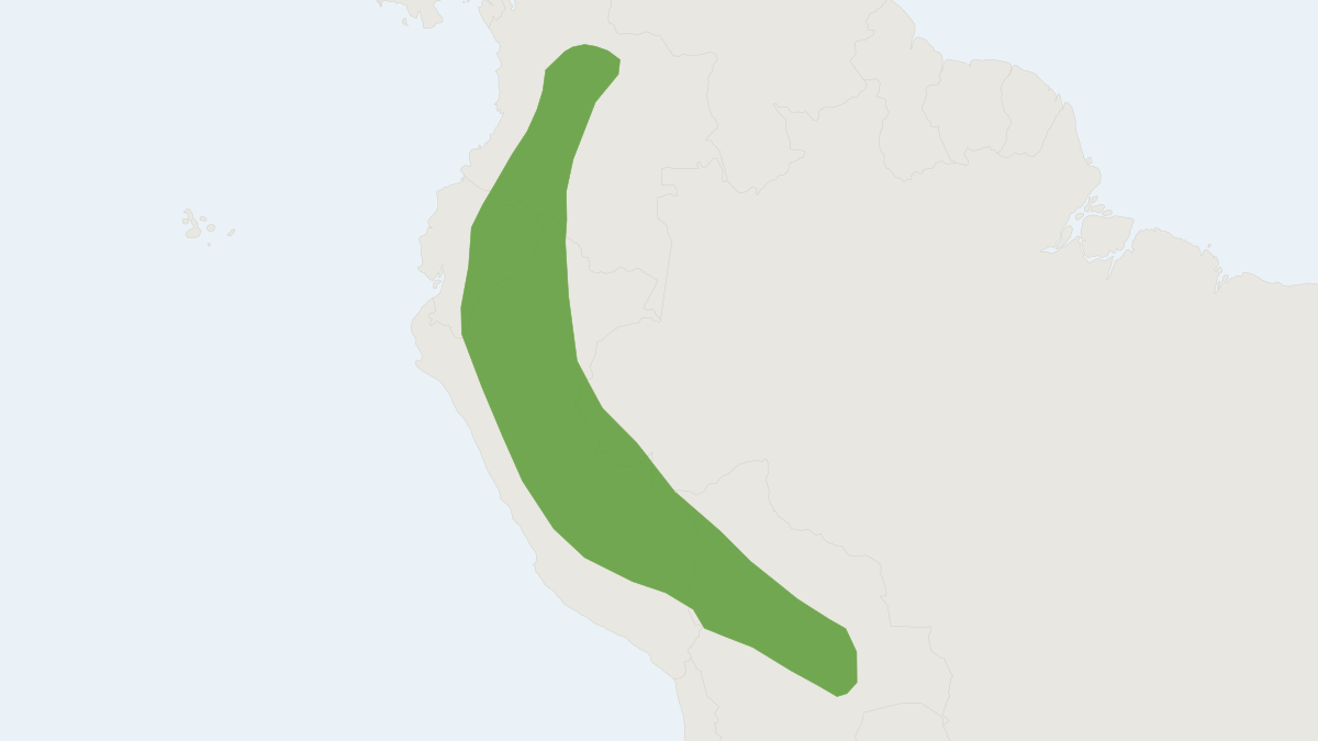Range map of the Buffy Broad-nosed Bat (Platyrrhinus infuscus)