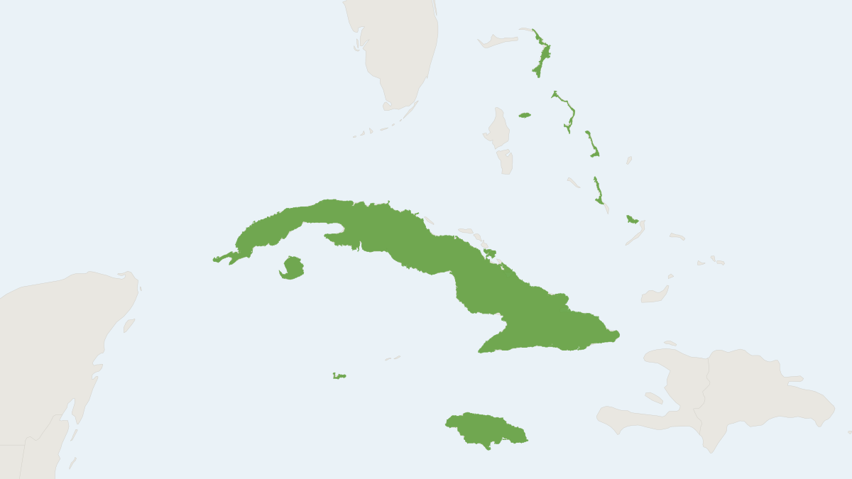 Range map of the Buffy Flower Bat (Erophylla sezekorni)