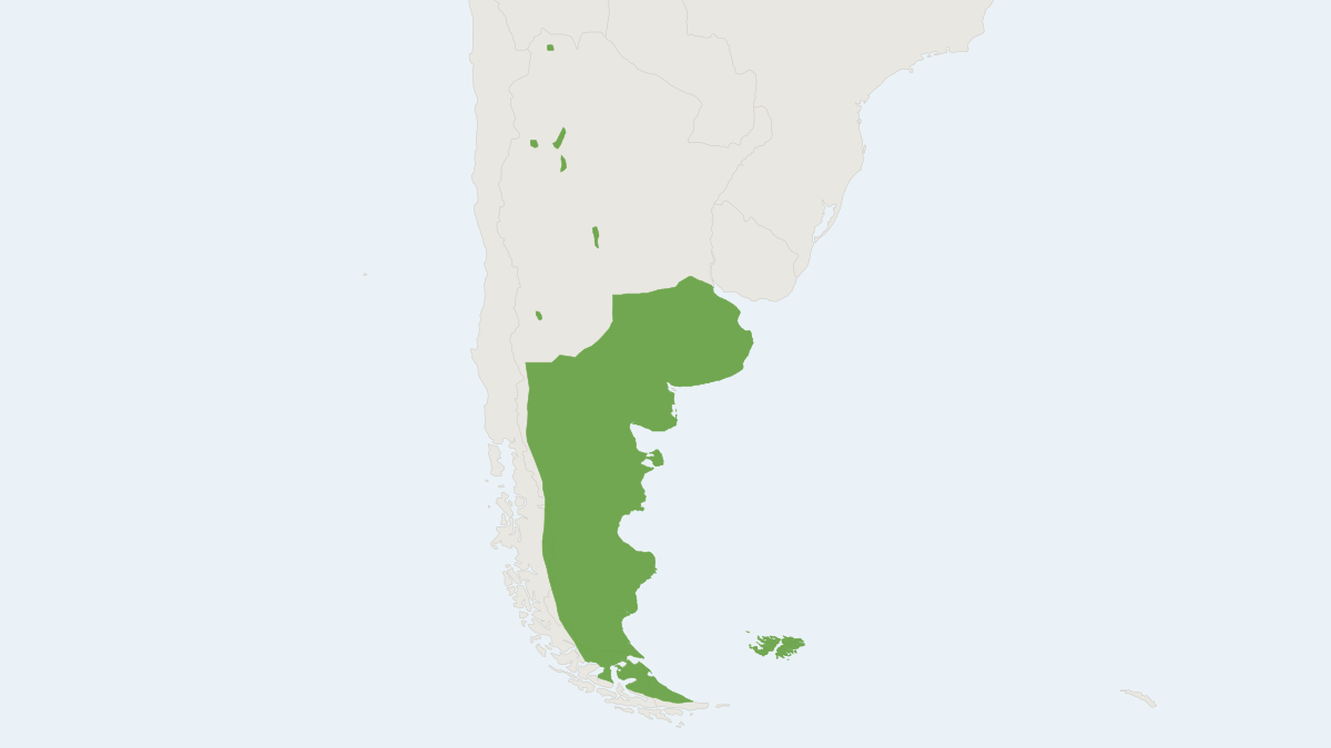 Range map of the Bunny Rat (Reithrodon auritus)