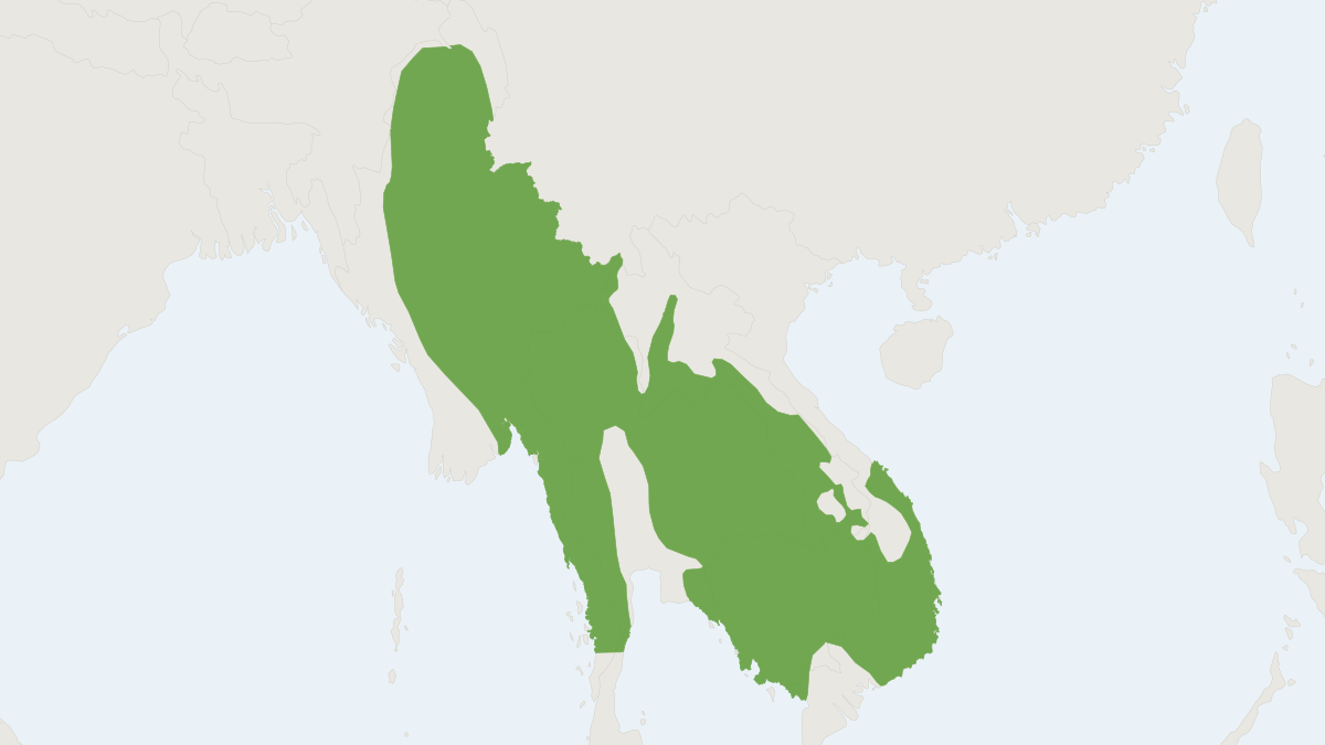 Range map of the Burmese Hare (Lepus peguensis)