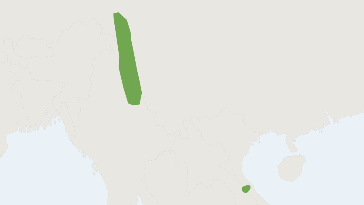 Range map of the Burmese Whiskered Myotis (Myotis montivagus)