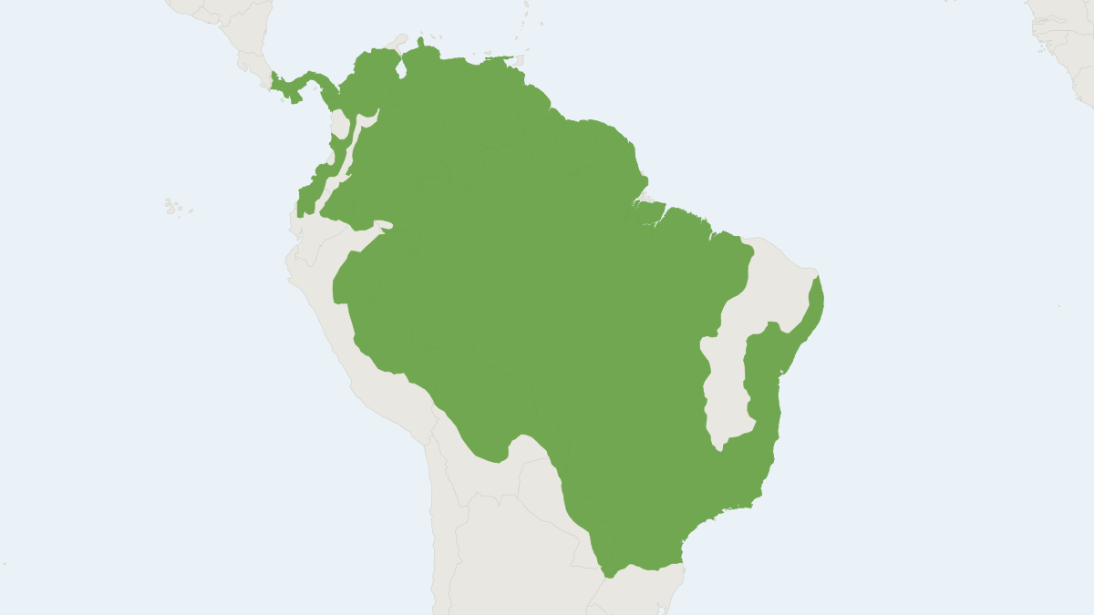 Range map of the Bush Dog (Speothos venaticus) covering Bolivia, Brazil and Colombia