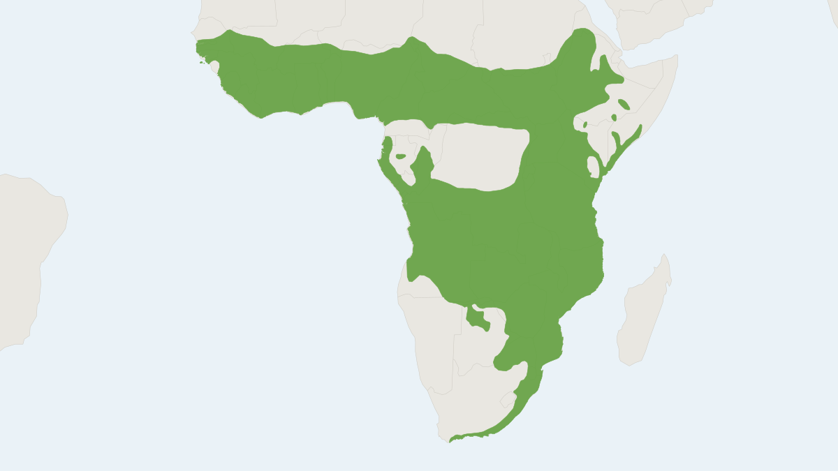 Range map of the Bushbuck (Tragelaphus scriptus)